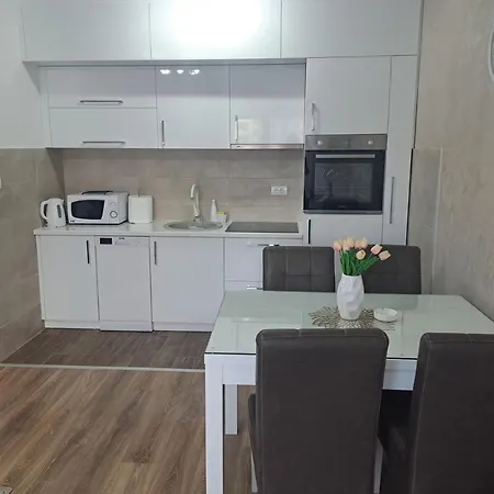 Appartement Vukosavljevic Banja Koviljača