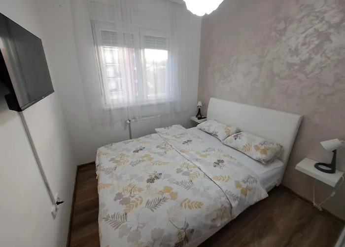 アパート Vukosavljevic Banja Koviljača