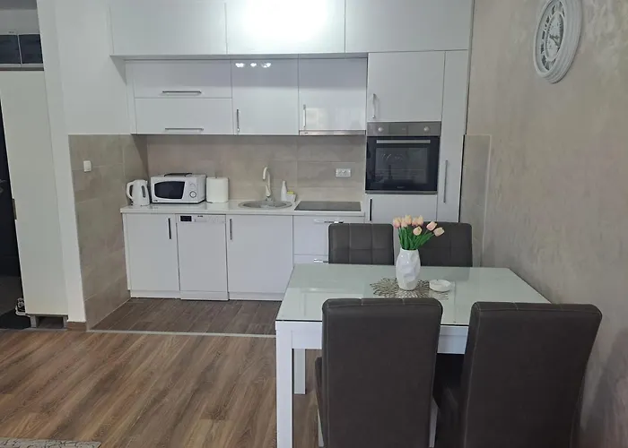 アパート Vukosavljevic Banja Koviljača